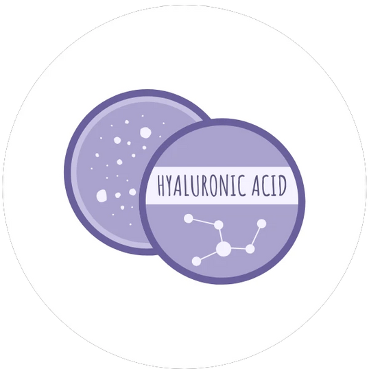 Two purple circles with 'Hyaluronic Acid' text and molecular structure on a white background