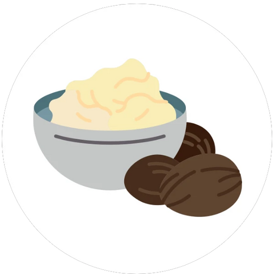 Illustration of a bowl of butter with two pieces of shea butter bean on a white background