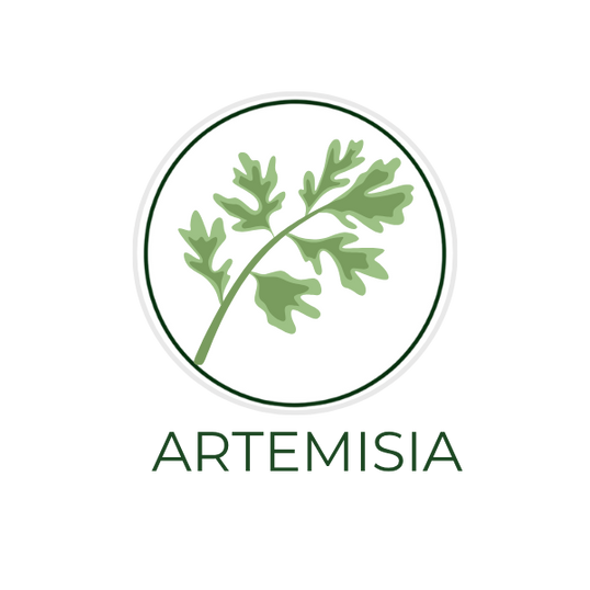 White circular icon featuring mugwort leaves, with the ingredient name Artemisia displayed on the image, alongside the Skin TOGO website.