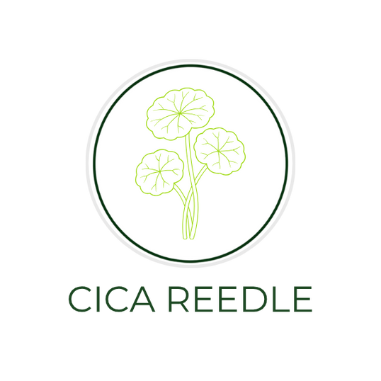 White circular icon featuring centella asiatica leaves and a micro-needle inspired symbol, with the ingredient name Cica Reedle displayed on the image, alongside the Skin TOGO website.
