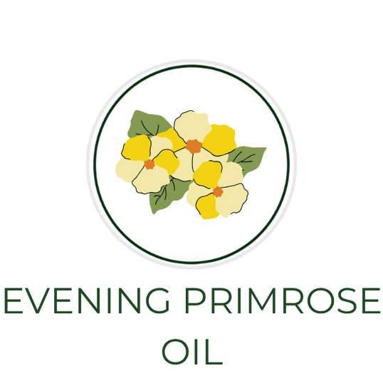 White circular icon featuring evening primrose flowers and oil drops, with the ingredient name Evening Primrose Oil displayed on the image, alongside the Skin TOGO website.

