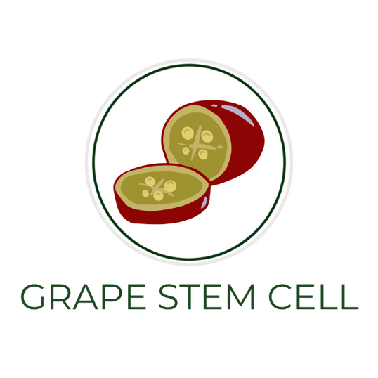 White circular icon featuring grape cells or grape vine elements, with the ingredient name Grape Stem Cell displayed on the image, alongside the Skin TOGO website.