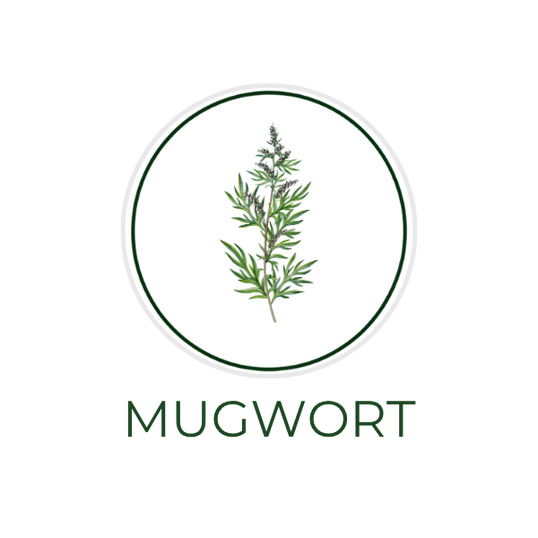 White circular icon featuring black mugwort leaves, with the ingredient name Black Mugwort displayed on the image, alongside the Skin TOGO website.