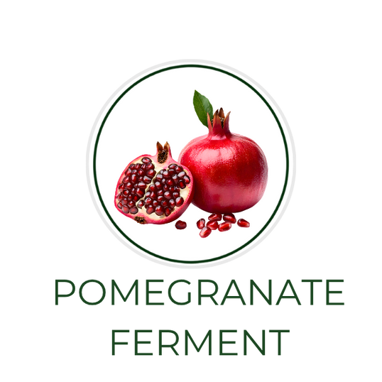 White circular icon featuring pomegranate fruit, with the ingredient name Pomegranate Ferment displayed on the image, alongside the Skin TOGO website.
