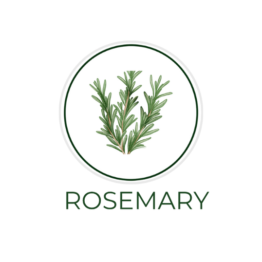 White circular icon featuring rosemary leaves, with the ingredient name Rosemary displayed on the image, alongside the Skin TOGO website.