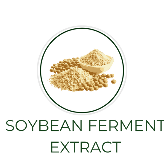 White circular icon featuring soybeans, with the ingredient name Soybean Ferment displayed on the image, alongside the Skin TOGO website.