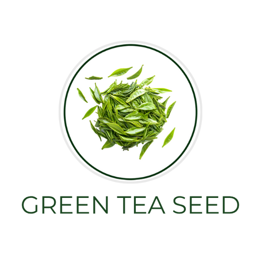 White circular icon featuring green tea seeds and oil drops, with the ingredient name Green Tea Seed Oil displayed on the image, alongside the Skin TOGO website.