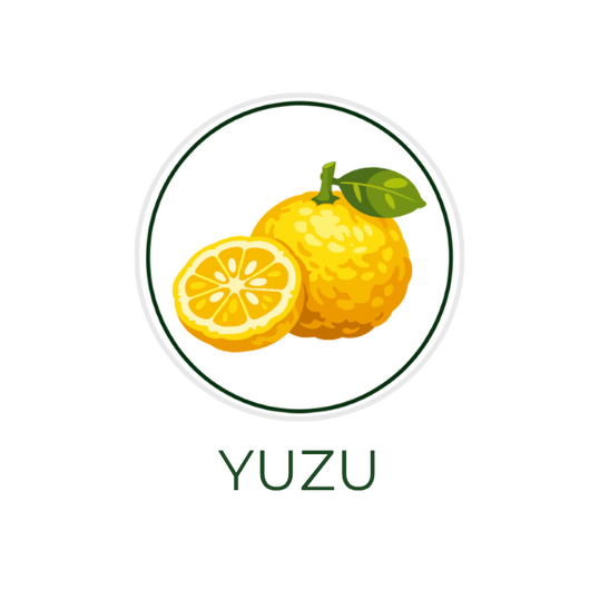 White circular icon featuring yuzu citrus fruit, with the ingredient name Yuzu displayed on the image, alongside the Skin TOGO website.