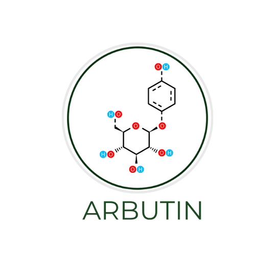 White circular icon featuring arbutin crystals or a molecular structure illustration, with the ingredient name Arbutin displayed on the image, alongside the Skin TOGO website.