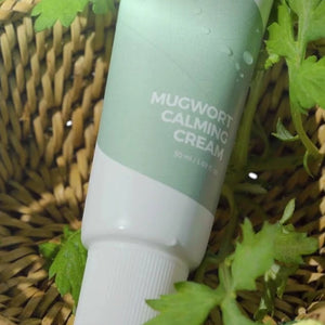 Skin TOGO Isntree Mugwort Calming Cream in a white and sage green tube nestled inside a woven basket with green leaves