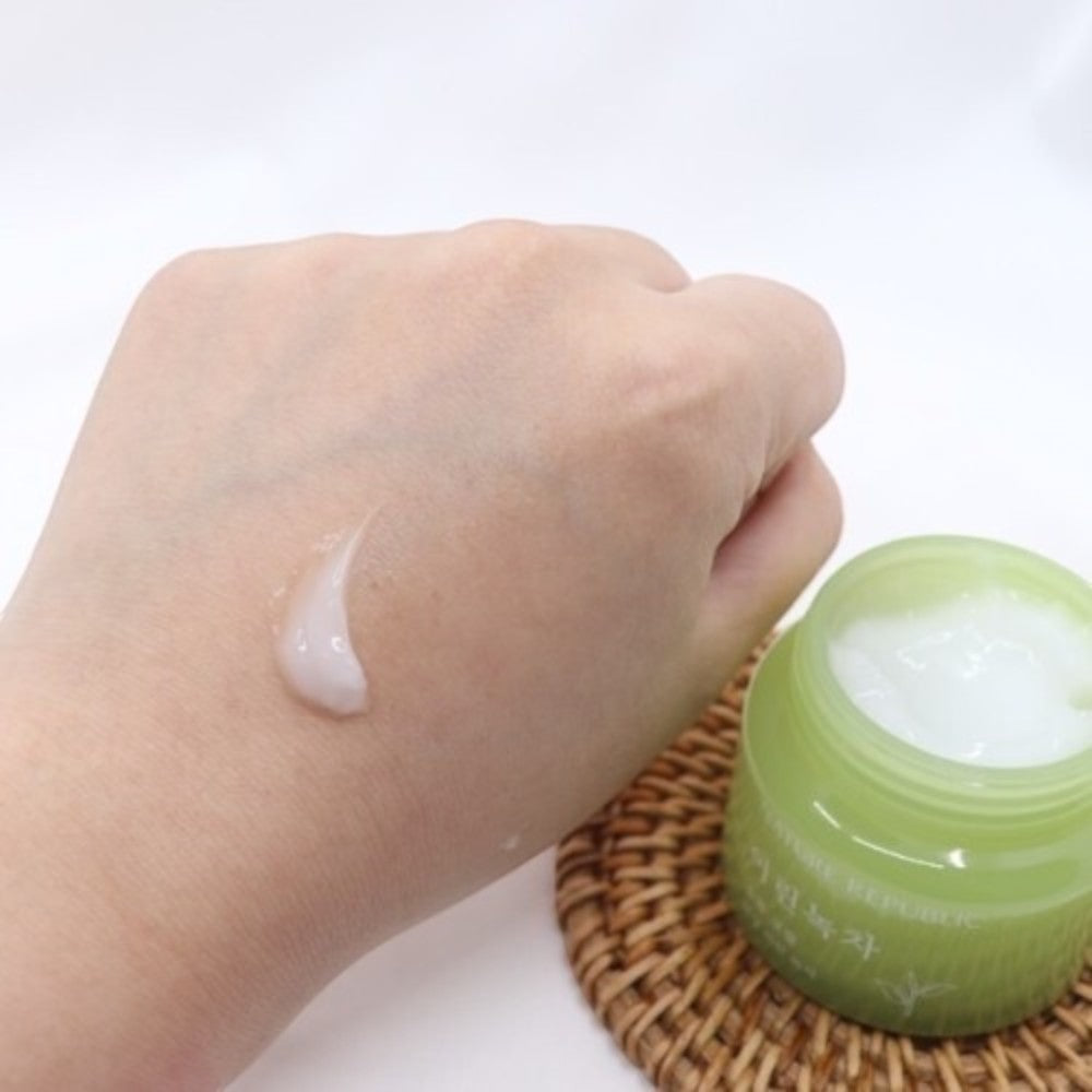 Skin TOGO NATURE REPUBLIC Young Green Tea Mild Cream with lightweight gel-cream texture applied on hand