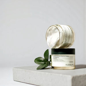 Skin TOGO Pyunkang Yul Calming Moisture Barrier Cream jars stacked on a stone block with a green leaf.