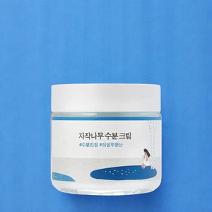 Skin TOGO Round Lab Birch Juice Moisturizing Cream in a white jar with blue label on a blue background.